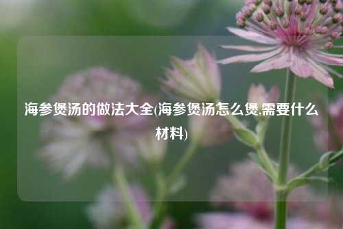 海参煲汤的做法大全(海参煲汤怎么煲,需要什么材料)