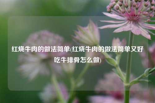 红烧牛肉的做法简单(红烧牛肉的做法简单又好吃牛排骨怎么做)