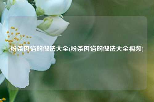 粉条肉馅的做法大全(粉条肉馅的做法大全视频)