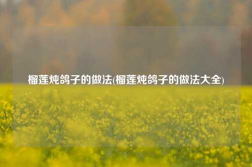 榴莲炖鸽子的做法(榴莲炖鸽子的做法大全)