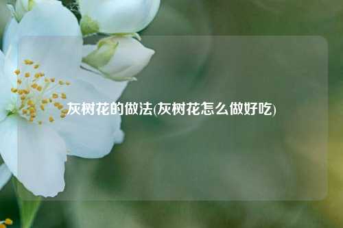 灰树花的做法(灰树花怎么做好吃)