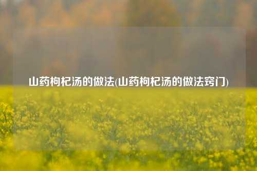 山药枸杞汤的做法(山药枸杞汤的做法窍门)