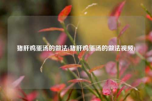 猪肝鸡蛋汤的做法(猪肝鸡蛋汤的做法视频)
