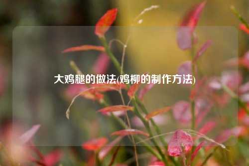 大鸡腿的做法(鸡柳的制作方法)
