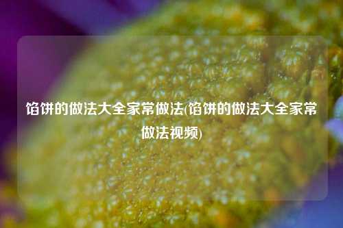 馅饼的做法大全家常做法(馅饼的做法大全家常做法视频)