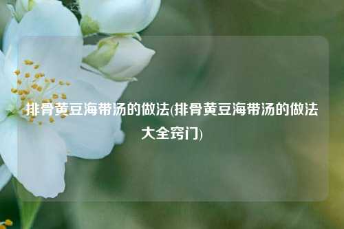 排骨黄豆海带汤的做法(排骨黄豆海带汤的做法大全窍门)
