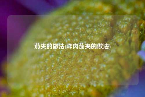 茄夹的做法(炸肉茄夹的做法)
