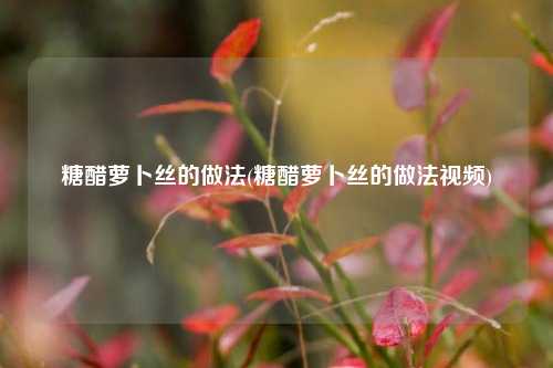 糖醋萝卜丝的做法(糖醋萝卜丝的做法视频)