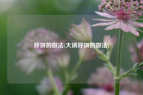 烀饼的做法(大锅烀饼的做法)