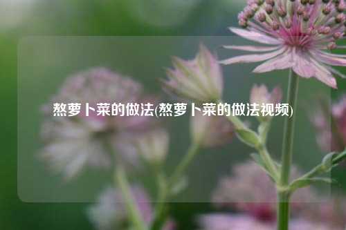 熬萝卜菜的做法(熬萝卜菜的做法视频)