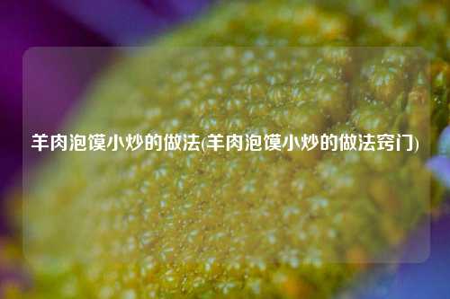 羊肉泡馍小炒的做法(羊肉泡馍小炒的做法窍门)