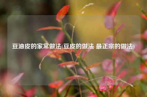 豆油皮的家常做法(豆皮的做法 最正宗的做法)