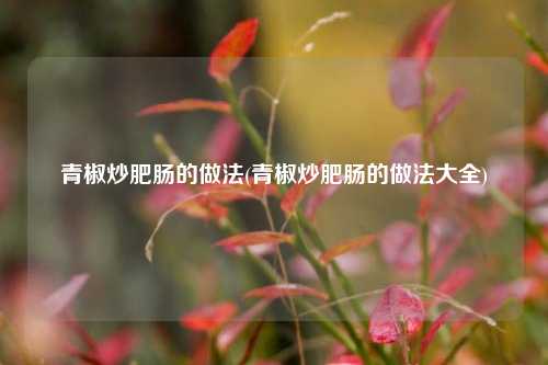 青椒炒肥肠的做法(青椒炒肥肠的做法大全)