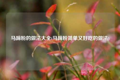 马蹄粉的做法大全(马蹄粉简单又好吃的做法)