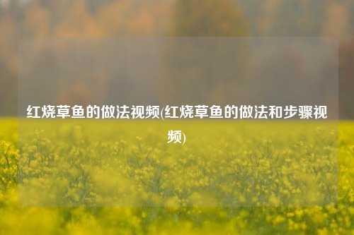 红烧草鱼的做法视频(红烧草鱼的做法和步骤视频)